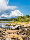 Landscape in the Bøkeskogen nature reserve in Norway by Rico Ködder thumbnail