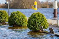 In Bremen ist die Promenade wieder mit herrlichem Wetter überflutet