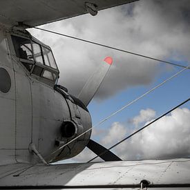 Antonow 2 von Roel  van Moorsel