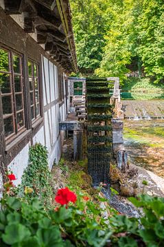 Blautopf Blaubeuren, Deutschland, Urlaub 2023 von Wendy de Jong