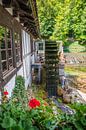 Blautopf Blaubeuren, Duitsland, 2023 van Wendy de Jong thumbnail