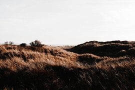 The dunes of Ameland by Sven Goedhart