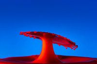 Rot gegen Blau