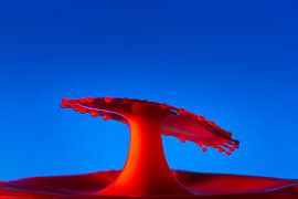 Red against blue by Paul Lagendijk