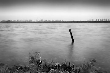 Rivier De Rijn van Mark Bolijn