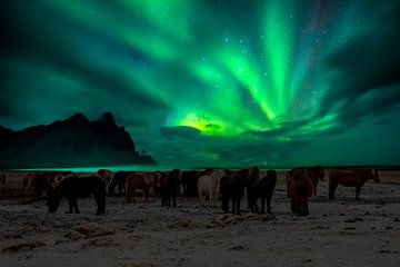 Island Aurora Borealis, Nordlichter von Gert Hilbink