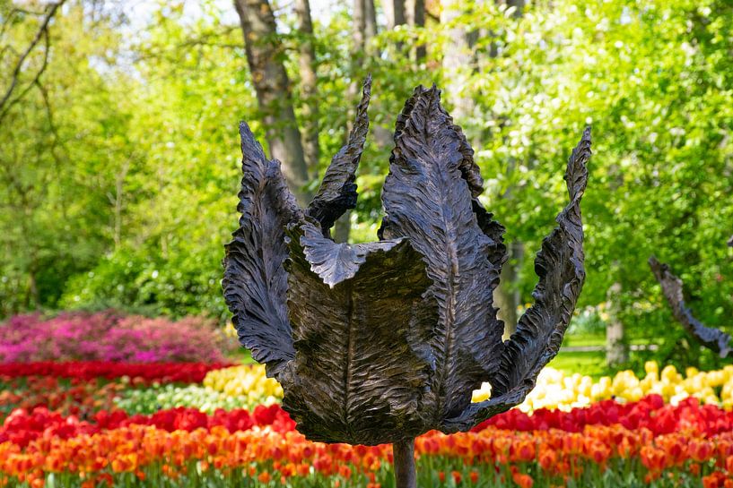 Black Tulip by Ingrid de Vos - Boom