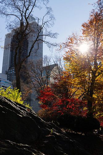 New York: Central Park