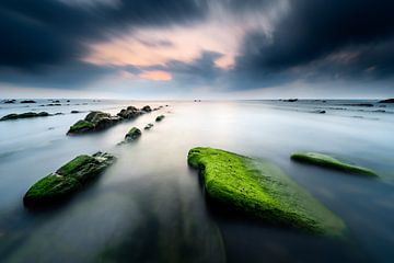 Barrika Strand van Arnaud Bertrande