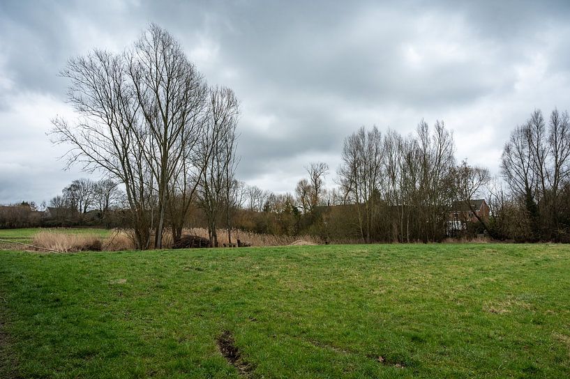 Un coin de nature à Grimbergen, près de Bruxelles par Werner Lerooy