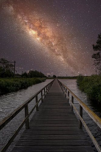 Into the night