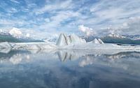 Alaska, Knik Glacier, Icebergs  van Yvonne Balvers thumbnail