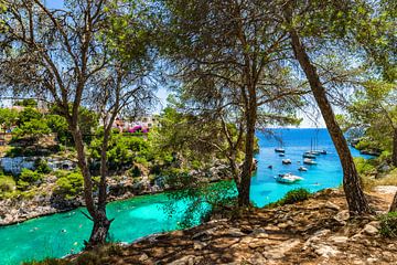 Mooie baai met jachten boten en turquoise zeewater, Cala Pi van Alex Winter