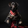 Zwarte Labrador Retriever in Betoverende Oosterse Kleding van Surreal Media