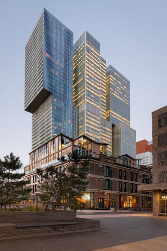 The Rotterdam