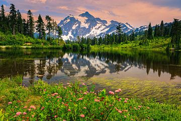 Mont Shuksan, État de Washington, États-Unis