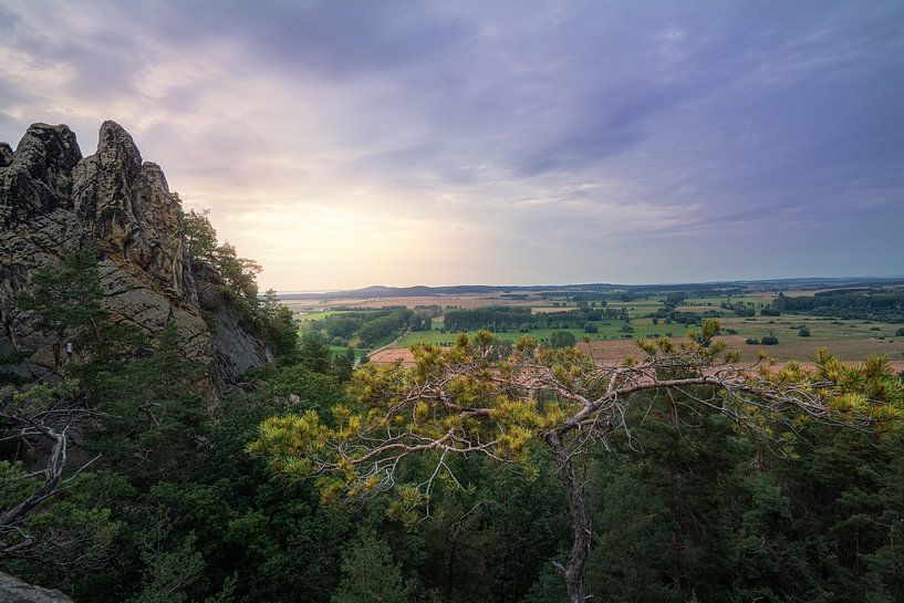 The view of the Hamburg coat of arms by Marc-Sven Kirsch