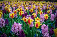 Bloemenbed