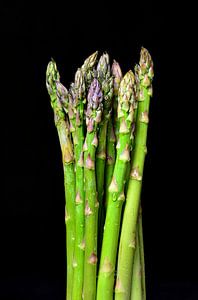 Groene asperges op zwarte achtergrond van 7Horses Photography