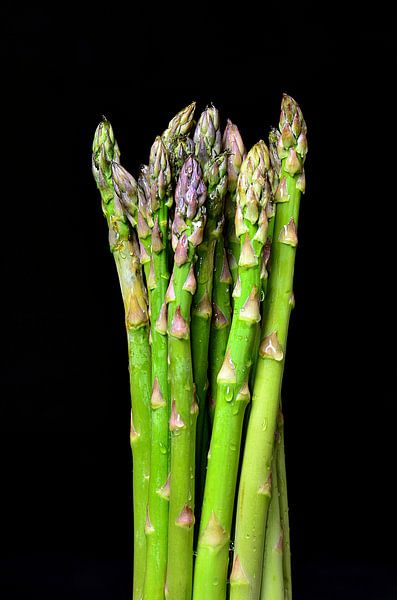 Green asparagus on black background by 7Horses Photography