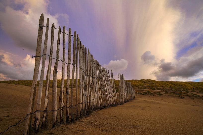 Dunes and beach on the coast of the Netherlands by Dirk van Egmond