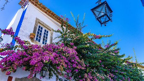 Schattig straatje in Óbidos, Portugal