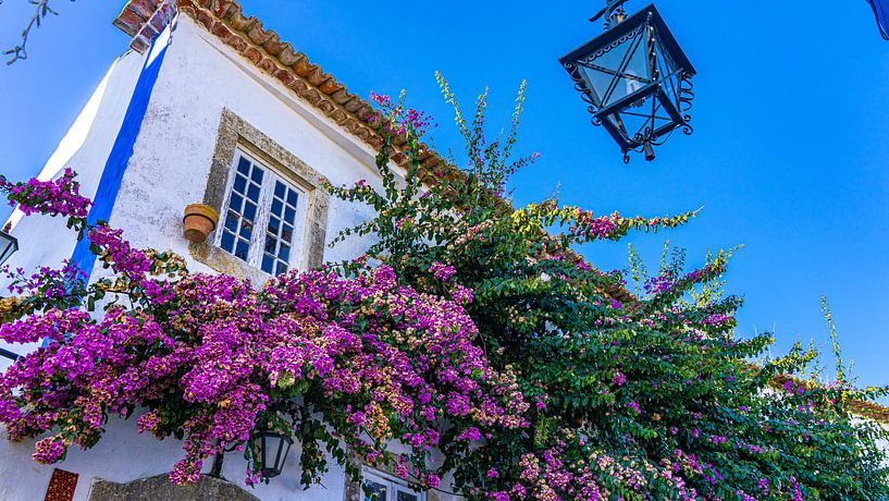 Niedliche kleine Straße in Óbidos, Portugal von Jessica Lokker