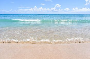 Die Salzwasser-Sammlung | Passikudah