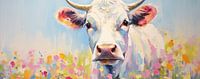 Vache | Vache