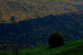 SCOTLAND 1 by Miroslav Ptacek