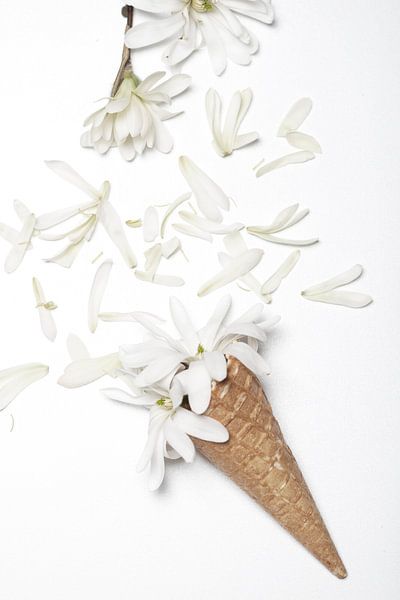 Ein Eis mit weißen Blumen von MirjamCornelissen - Fotografie