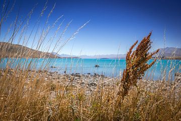 Lake Tekapo op het Zuidereiland van Nieuw-Zeeland van Troy Wegman