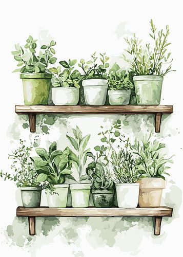 Kruidentuin op houten planken