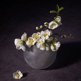 Stilleven, Sweet Petit, bolvaasje met bloesem van Oda Slofstra
