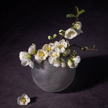 Still life, globe vase with blossom by Oda Slofstra
