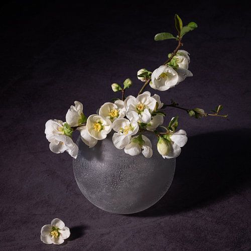 Nature morte, vase globe avec fleur