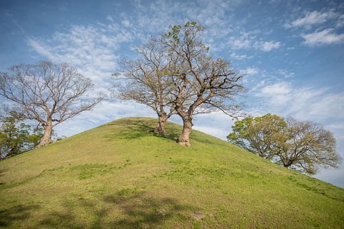 Grafheuvel Gyeongju