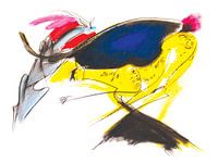 Gepardenjagd