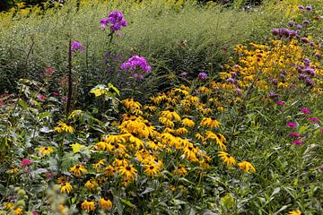 Bloembed met kleurrijke bloemen in een park in de zomer in Duitsland van Andreas Freund