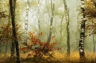 Birkenbäume im Herbst III von Kees van Dongen Miniaturansicht