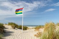 Strand en duinen van Terschelling met vlag #2 van Marianne Jonkman thumbnail
