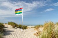 Beach and dunes of Terschelling with flag #2