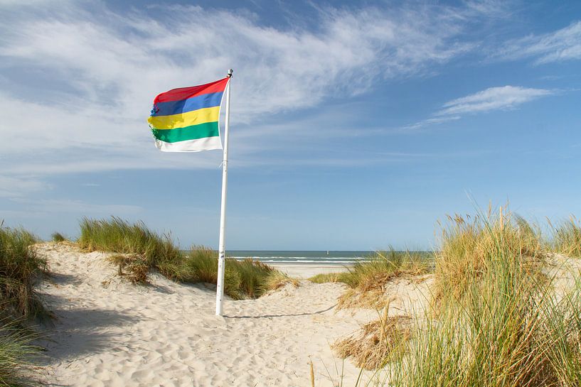 Strand en duinen van Terschelling met vlag #2 van Marianne Jonkman