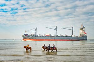 Schiff und Pferde an der Küste von Zeeland. von Ron van der Stappen