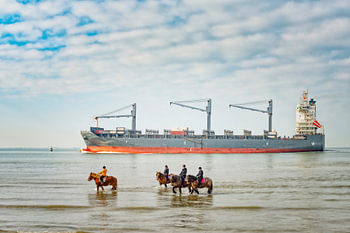 Schiff und Pferde an der Küste von Zeeland.