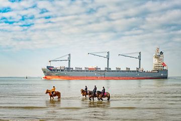 Bateau et chevaux le long de la côte de Zélande. sur Ron van der Stappen