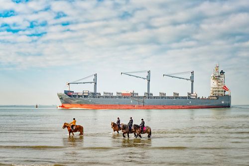 Schip en paarden langs de zeeuwse kust.