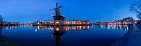 Reflets bleus