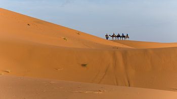 Voyage dans le désert du Sahara au Maroc