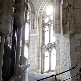 escalier sagrada famillia sur Giovanni de Deugd